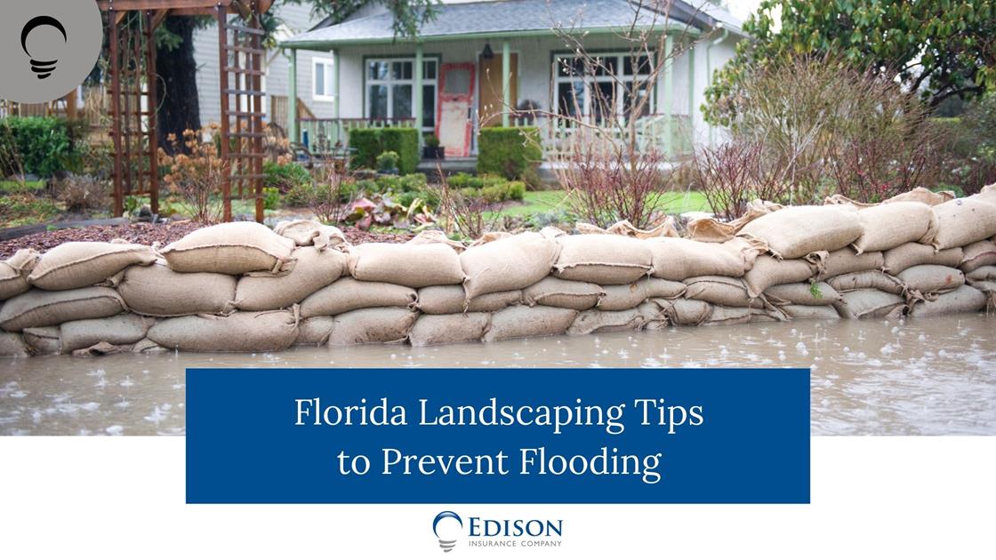Florida Landscaping Tips to Prevent Flooding